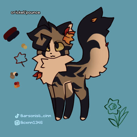 kitty me